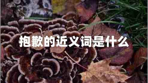 抱歉的近義詞是什么