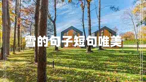 雪的句子短句唯美 雪的句子短句唯美