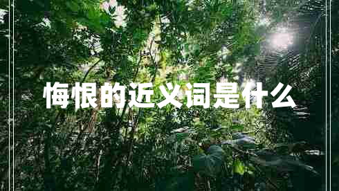 悔恨的近義詞是什么