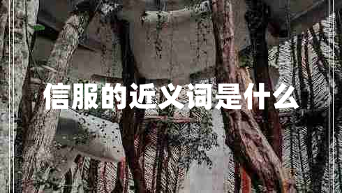 信服的近義詞是什么