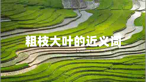 粗枝大葉的近義詞