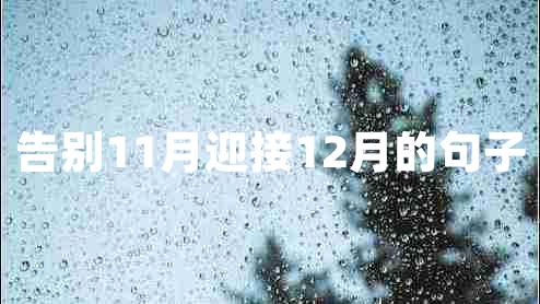 告別11月迎接12月的句子
