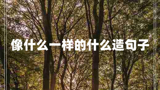 像什么一樣的什么造句子