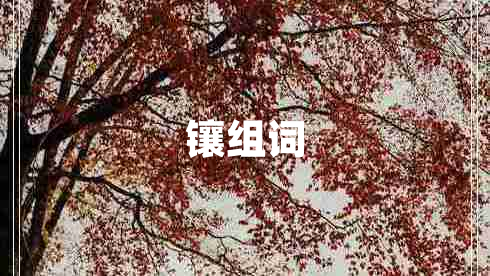 鑲組詞