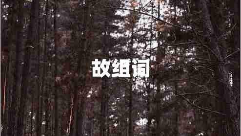 故組詞 故組詞