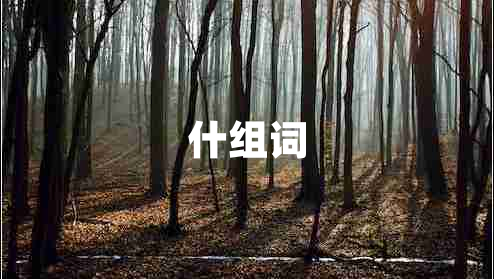 什組詞 什組詞