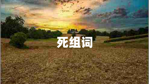 死組詞 死組詞