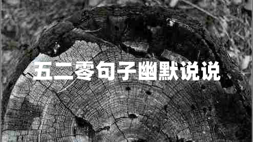 五二零句子幽默說(shuō)說(shuō) 五二零句子幽默說(shuō)說(shuō)