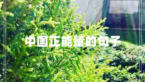 中國正能量的句子 中國正能量的句子