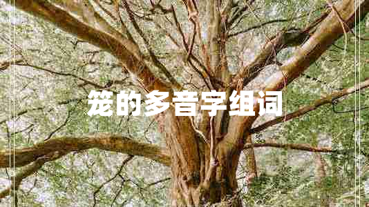 籠的多音字組詞 籠的多音字組詞