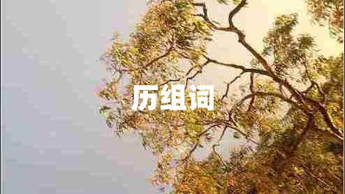 歷組詞