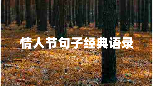情人節(jié)句子經(jīng)典語(yǔ)錄 情人節(jié)句子經(jīng)典語(yǔ)錄