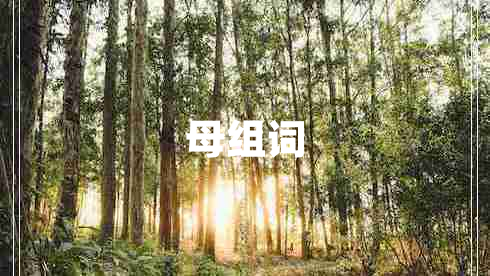 母組詞 母組詞