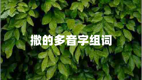 撒的多音字組詞 撒的多音字組詞