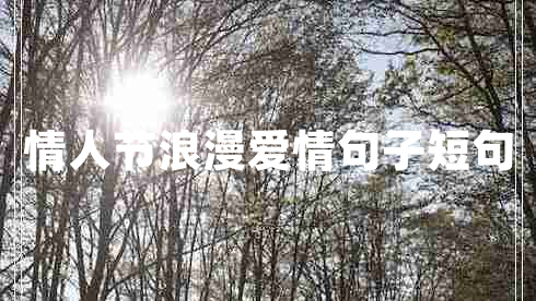 情人節(jié)浪漫愛情句子短句 情人節(jié)浪漫愛情句子短句