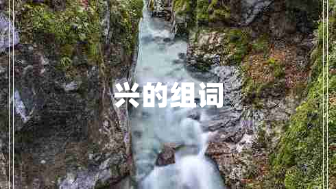 興的組詞 興的組詞