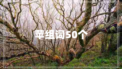 蘋組詞50個