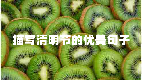 描寫清明節(jié)的優(yōu)美句子 描寫清明節(jié)的優(yōu)美句子