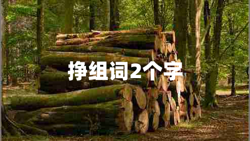 掙組詞2個(gè)字