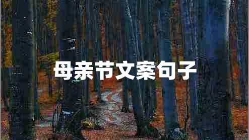 母親節(jié)文案句子 母親節(jié)文案句子
