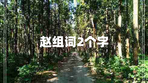 趙組詞2個(gè)字