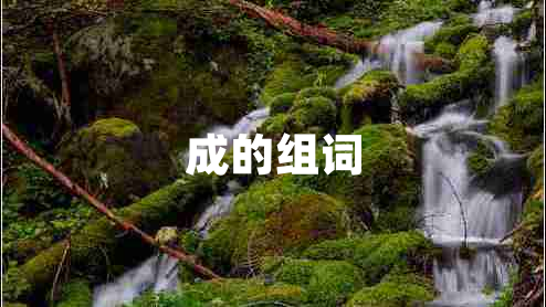 成的組詞 成的組詞