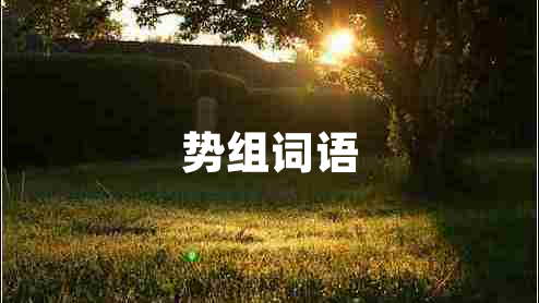 勢(shì)組詞語(yǔ)