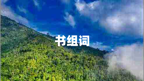書組詞 書組詞