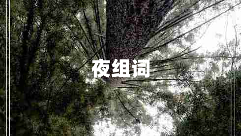 夜組詞 夜組詞