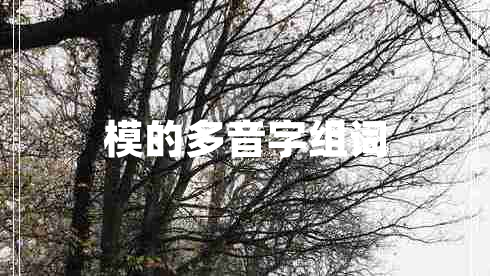 模的多音字組詞 模的多音字組詞