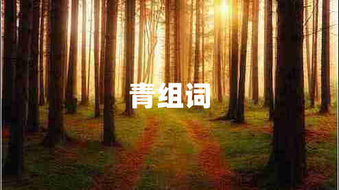 青組詞 青組詞