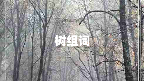 樹組詞 樹組詞