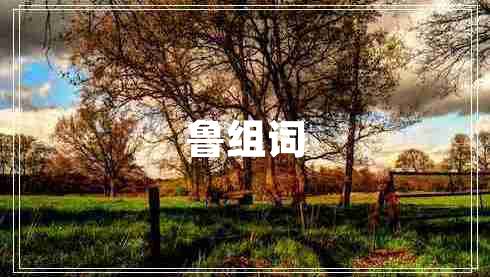 魯組詞 魯組詞