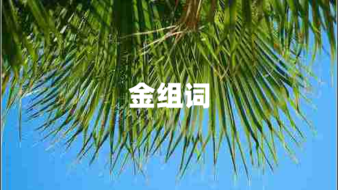 金組詞 金組詞