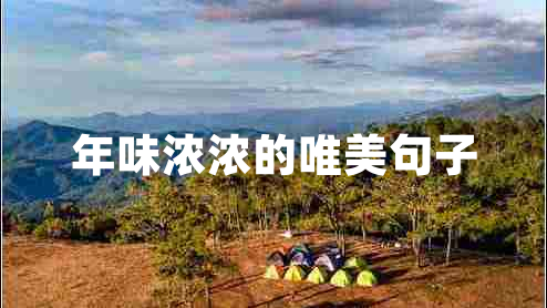 年味濃濃的唯美句子 年味濃濃的唯美句子