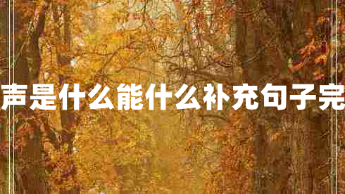 掌聲是什么能什么補充句子完整