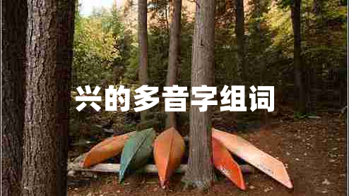 興的多音字組詞 興的多音字組詞