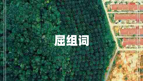 屈組詞