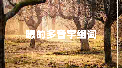 曝的多音字組詞