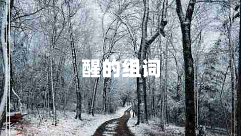 醒的組詞 醒的組詞