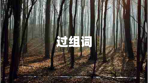 過組詞 過組詞