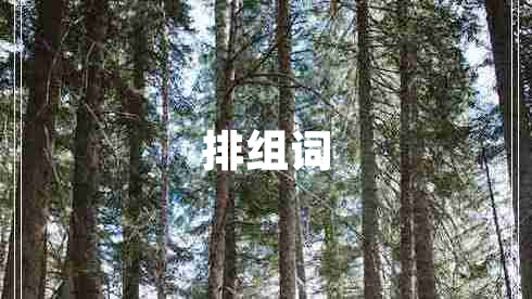 排組詞 排組詞