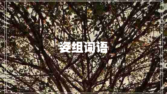 姿組詞語 姿組詞語