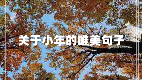 關(guān)于小年的唯美句子 關(guān)于小年的唯美句子