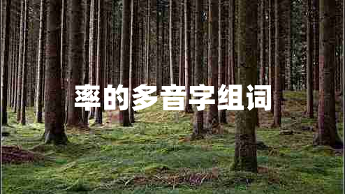 率的多音字組詞