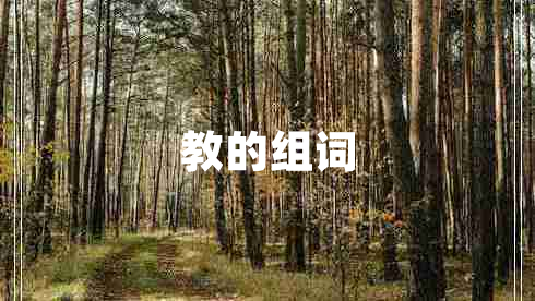 教的組詞 教的組詞