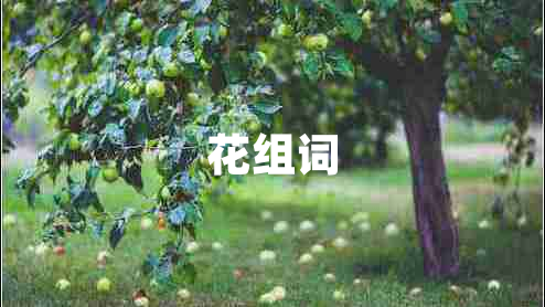 花組詞 花組詞