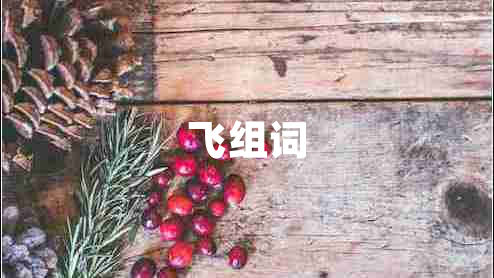 飛組詞 飛組詞