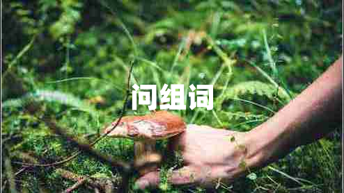 問組詞 問組詞