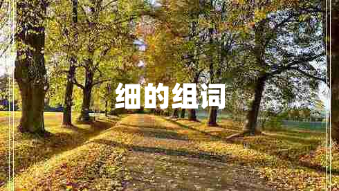 細(xì)的組詞 細(xì)的組詞